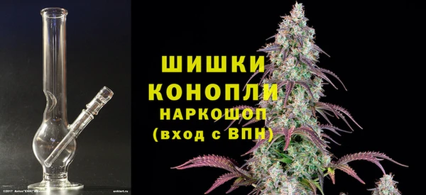 трава Белокуриха
