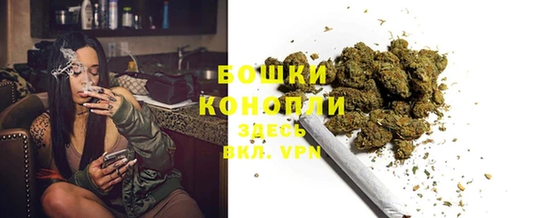 трава Белокуриха