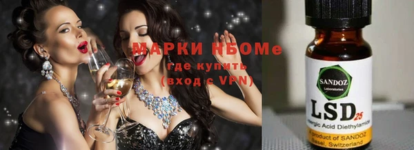 трава Белокуриха