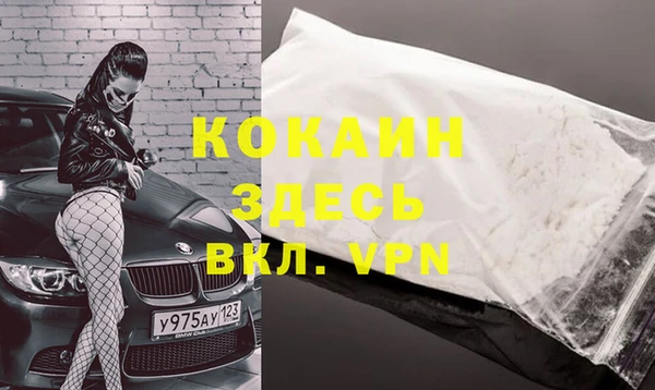 трава Белокуриха