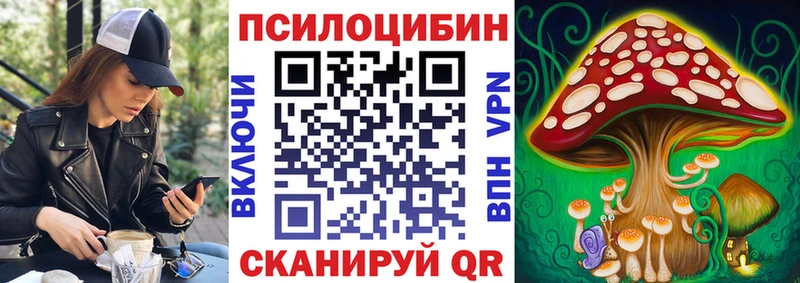 Галлюциногенные грибы Psilocybe  Володарск 